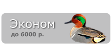 эконом